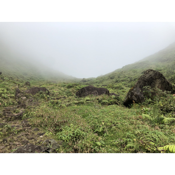 照片 瓜德罗普(Guadeloupe) 大苏弗里耶尔火山(La Grande Soufriere) 2021-02 56