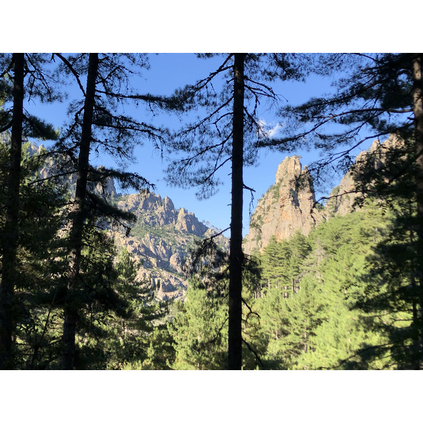 照片 法国(France) 科西嘉岛(Corsica) 雷斯托尼卡山谷(La Restonica) 2020-07 99