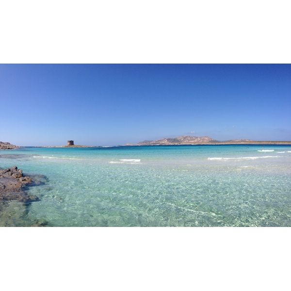 照片 意大利(Italy) 撒丁岛(Sardinia) 猎鹰角(Capo del Falcone) 2015-06 69