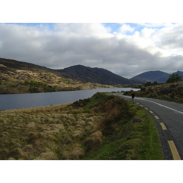 照片 爱尔兰(Ireland) 凯里郡(Kerry) 基拉尼国家公园(Killarney National Park) 2004-05 41