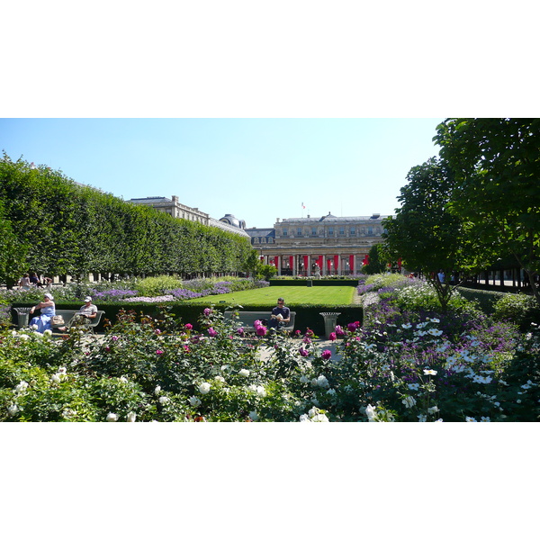 照片 法国(France) 巴黎(Paris) 皇家宫殿(Palais Royal) 2007-08 79