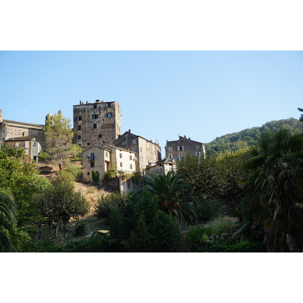 照片 法国(France) 科西嘉岛(Corsica) 韦斯科瓦托(Vescovato) 2017-09 15