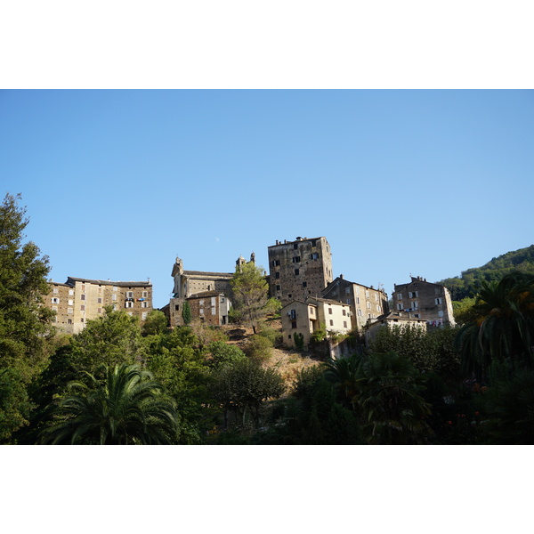 照片 法国(France) 科西嘉岛(Corsica) 韦斯科瓦托(Vescovato) 2017-09 19