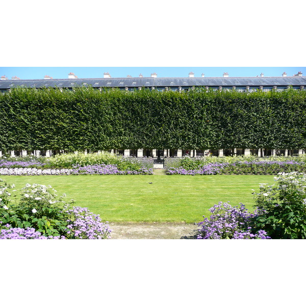照片 法国(France) 巴黎(Paris) 皇家宫殿(Palais Royal) 2007-08 125