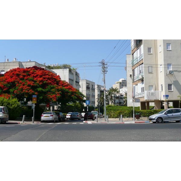 照片 以色列(Israel) 特拉维夫(Tel Aviv) 亚博廷斯基街(Jabotinsky Street) 2007-06 0
