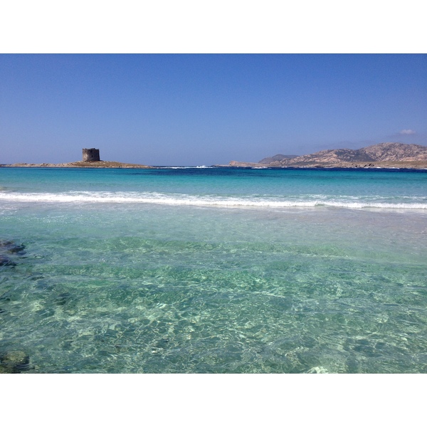 照片 意大利(Italy) 撒丁岛(Sardinia) 猎鹰角(Capo del Falcone) 2015-06 14