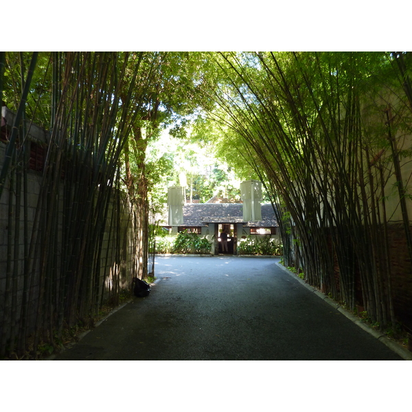 照片 泰国(Thailand) 清迈(Chiang Mai) 拉查丹嫩路(Rachadamnoen road) 2009-12 31