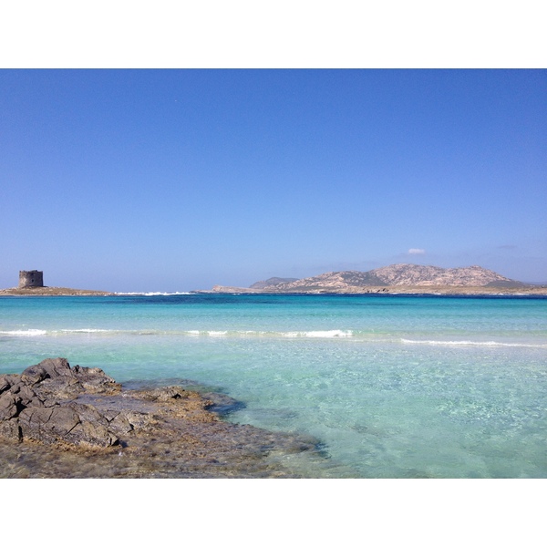 照片 意大利(Italy) 撒丁岛(Sardinia) 猎鹰角(Capo del Falcone) 2015-06 68