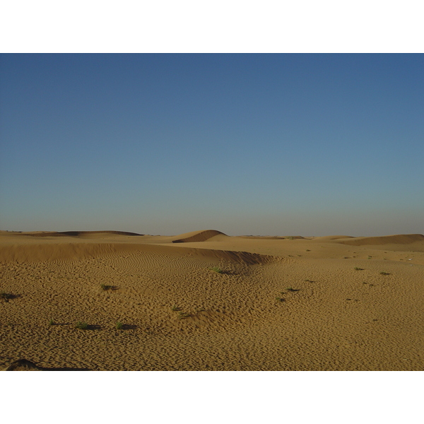 照片 阿联酋(United Arab Emirates) 迪拜至艾因公路(Dubai to Al Ain road) 2005-03 40
