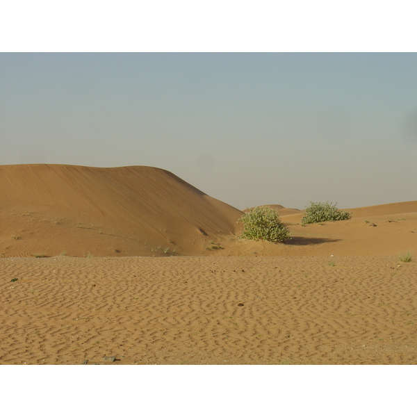 照片 阿联酋(United Arab Emirates) 迪拜至艾因公路(Dubai to Al Ain road) 2005-03 48