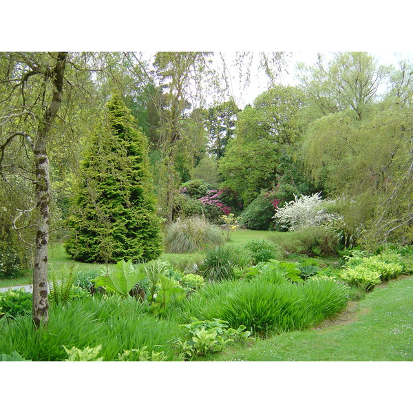 照片 爱尔兰(Ireland) 凯里郡(Kerry) 基拉尼国家公园(Killarney National Park) 马克罗斯庄园(Muckross House) 2004-05 11