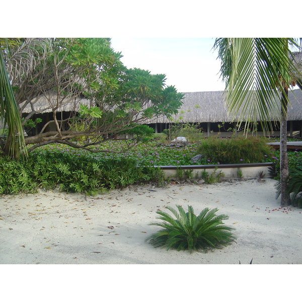 照片 波利尼西亚(Polynesia) 波拉波拉艾美酒店(Meridien Bora Bora Hotel) 2006-04 83