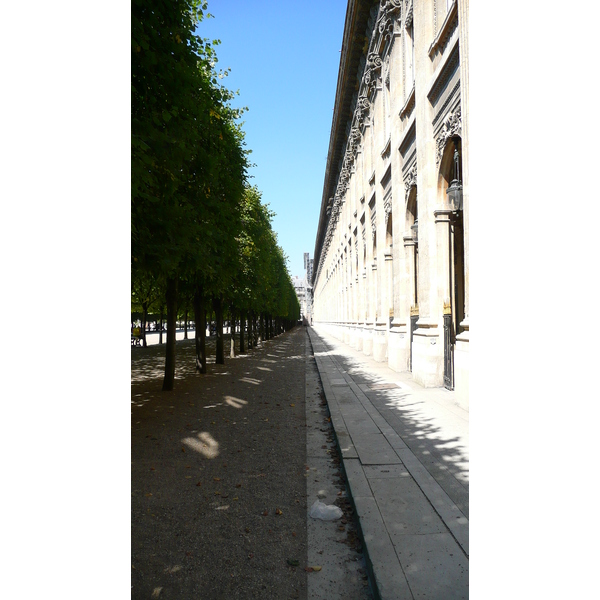 照片 法国(France) 巴黎(Paris) 皇家宫殿(Palais Royal) 2007-08 34