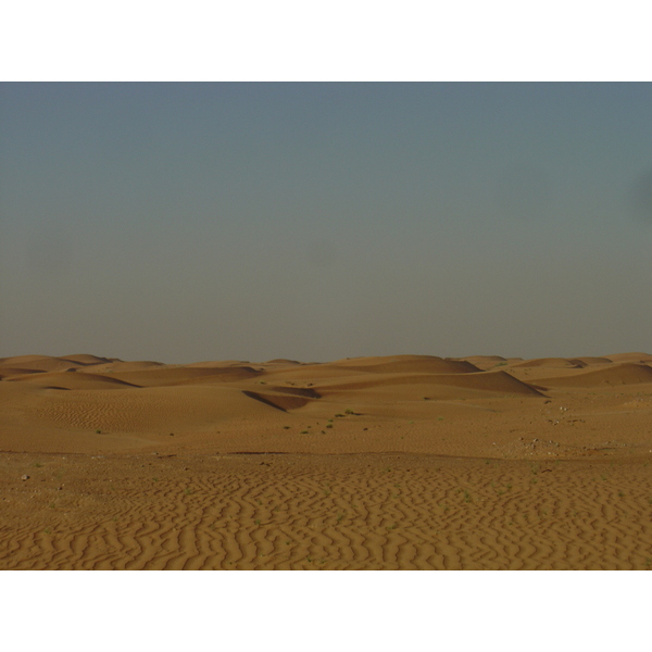 照片 阿联酋(United Arab Emirates) 迪拜至艾因公路(Dubai to Al Ain road) 2005-03 49