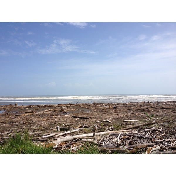 照片 哥斯达黎加(Costa Rica) 2015-03 7