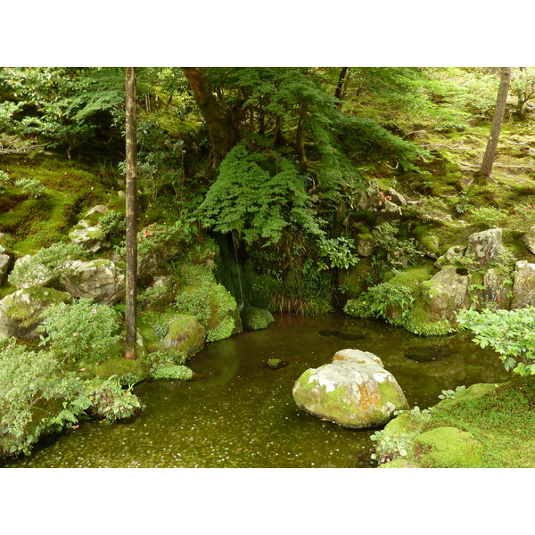 照片 日本(Japan) 京都(Kyoto) 银阁寺(Ginkakuji Temple(Silver Pavilion)) 2010-06 35
