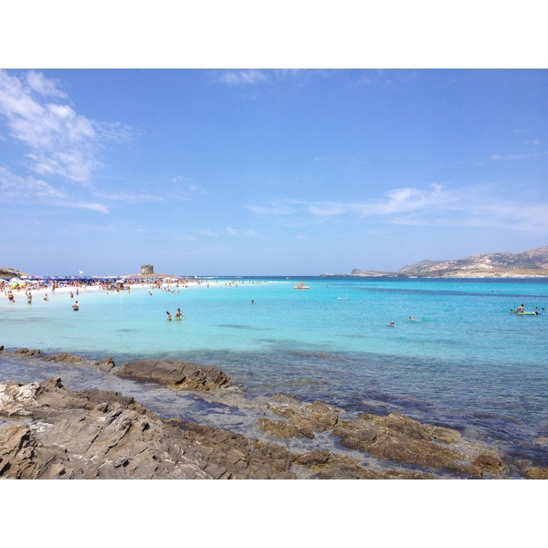 照片 意大利(Italy) 撒丁岛(Sardinia) 猎鹰角(Capo del Falcone) 2015-06 27