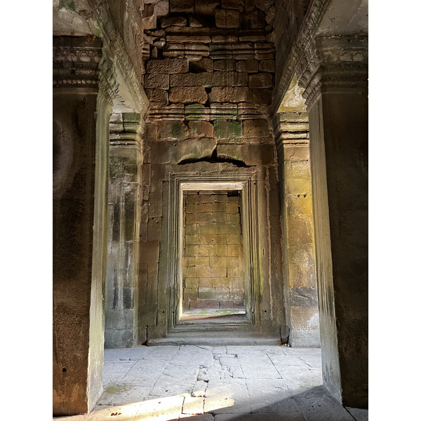 照片 柬埔寨(Cambodia) 暹粒(Siem Reap) 圣剑寺(Preah Khan) 2023-01 40