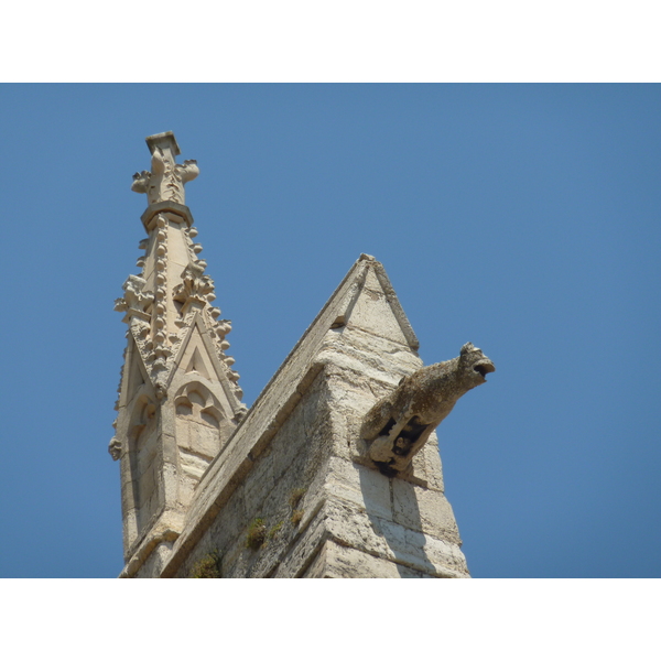 照片 法国(France) 纳博讷(Narbonne) 2009-07 106
