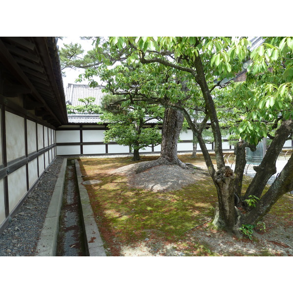 照片 日本(Japan) 京都(Kyoto) 二条城(Nijo Castle) 2010-06 77