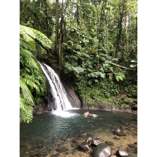 照片 瓜德罗普(Guadeloupe) 螯虾瀑布(Cascade aux ecrevisses) 2021-02 0