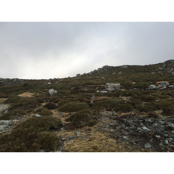 照片 法国(France) 科西嘉岛(Corsica) 阿尔塔罗卡(Alta Rocca) 2017-09 24
