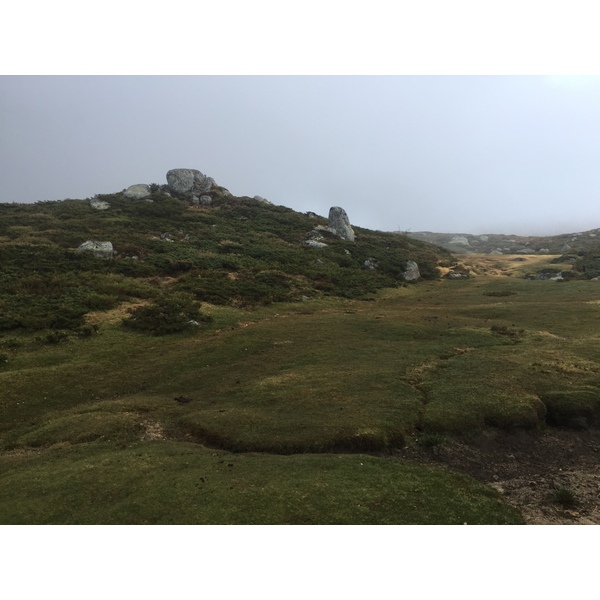 照片 法国(France) 科西嘉岛(Corsica) 阿尔塔罗卡(Alta Rocca) 2017-09 10