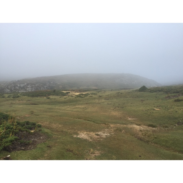 照片 法国(France) 科西嘉岛(Corsica) 阿尔塔罗卡(Alta Rocca) 2017-09 8