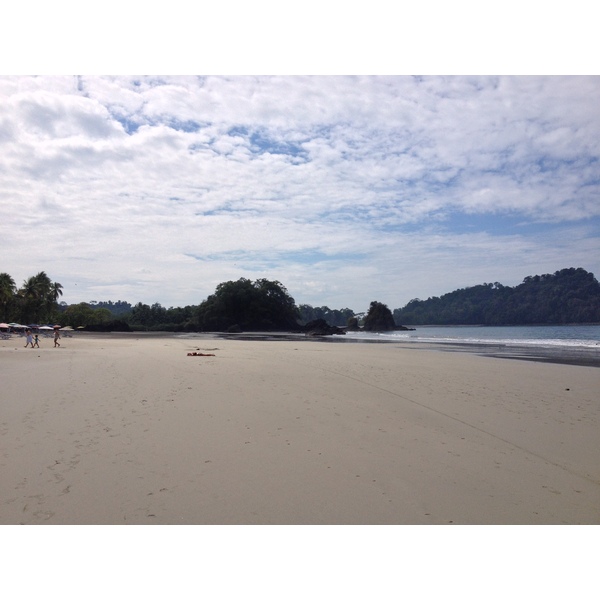 照片 哥斯达黎加(Costa Rica) 曼努埃尔安东尼奥(Manuel Antonio) 2015-03 119