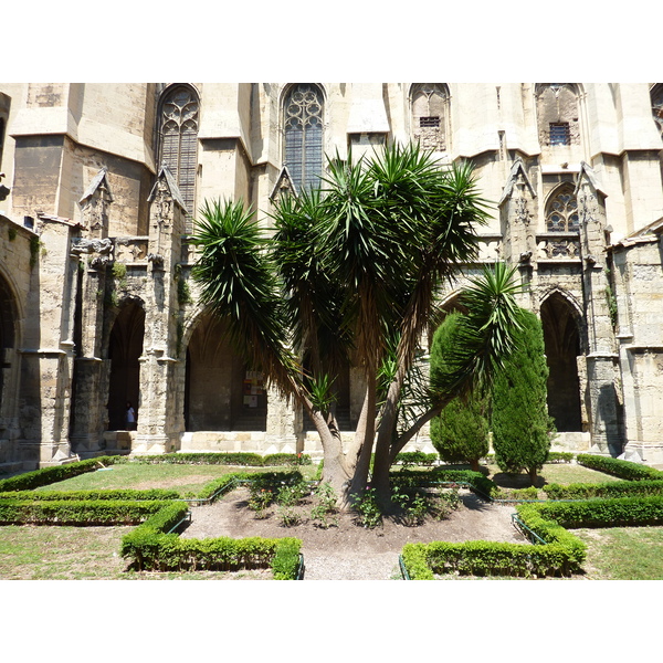 照片 法国(France) 纳博讷(Narbonne) 2009-07 121