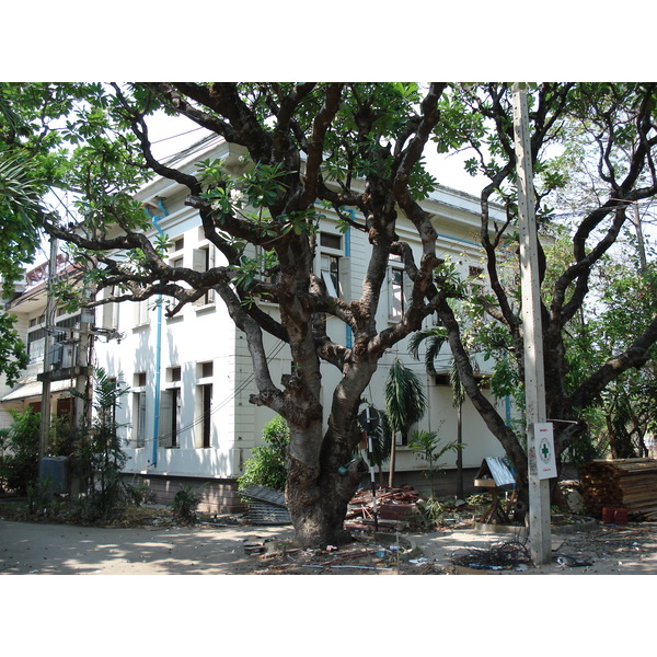照片 泰国(Thailand) 清迈(Chiang Mai) 护城河内(Inside Canal) 2006-04 17