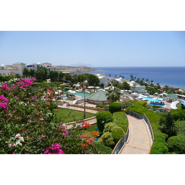照片 埃及(Egypt) 沙姆沙伊赫(Sharm el Sheikh) 凯悦酒店(Hyatt Hotel) 2008-06 88