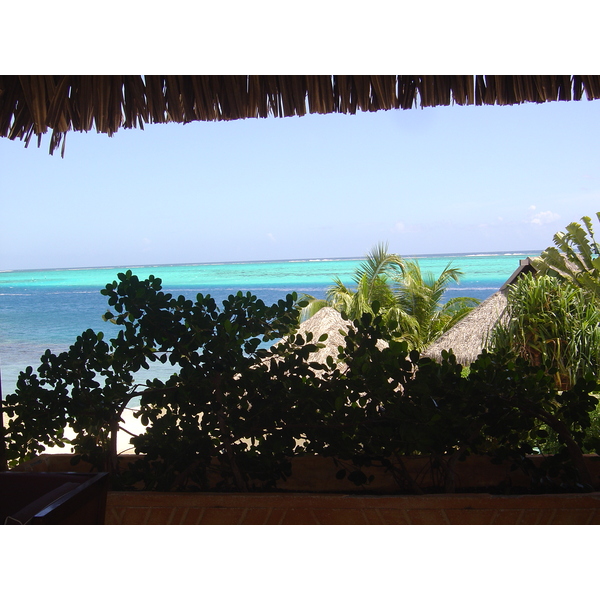 照片 波利尼西亚(Polynesia) 莫雷阿岛(Moorea) 珍珠度假酒店(Pearl Resort Hotel) 2006-04 39