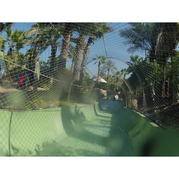 照片 阿联酋(United Arab Emirates) 迪拜(Dubai) 迪拜水世界(Dubai Aquaventure) 2012-01 39