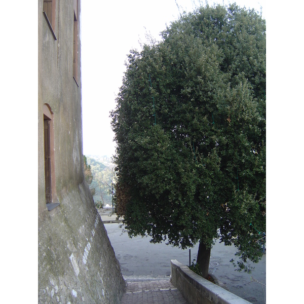 照片 法国(France) 上卡涅(Les Hauts de Cagnes) 2006-01 61