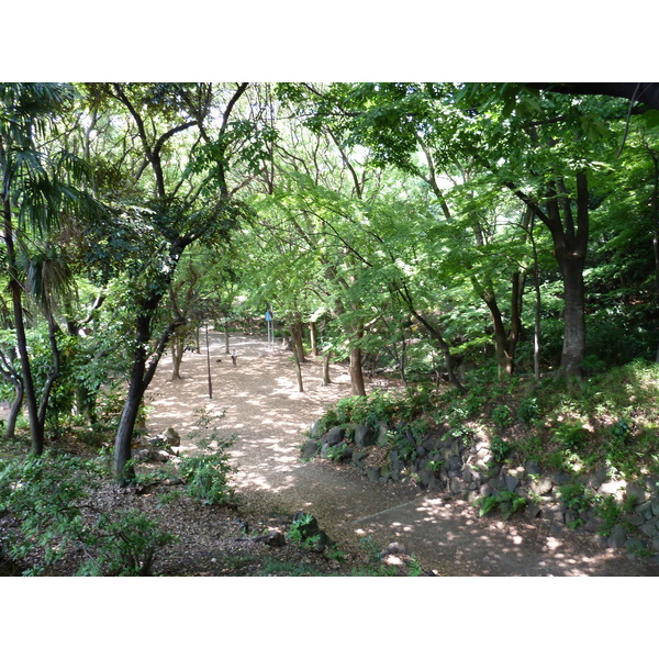 照片 日本(Japan) 东京(Tokyo) 芝公园(Shiba Park) 2010-06 66