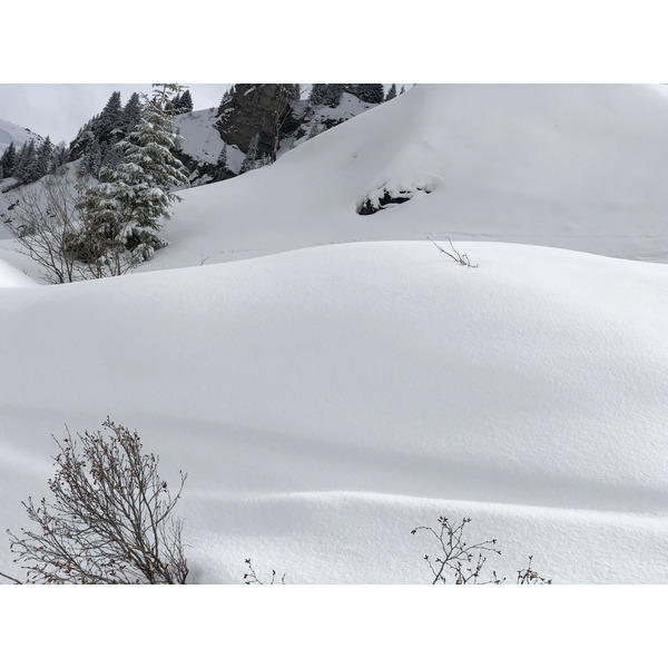 照片 法国(France) 梅杰夫(Megeve) 2019-03 58