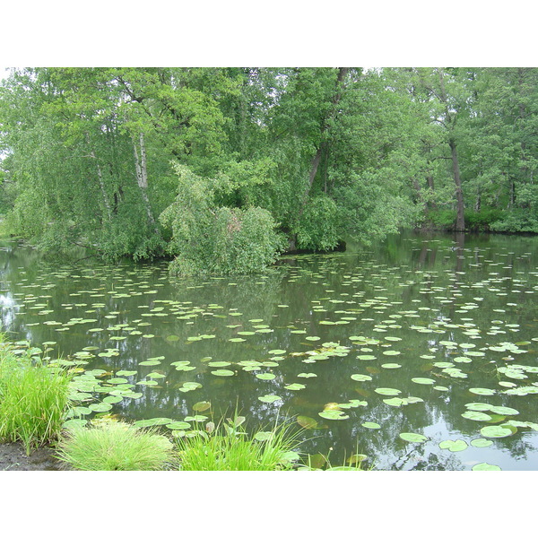 照片 瑞典(Sweden) 卓宁霍姆宫(Drottningholm) 2005-06 12
