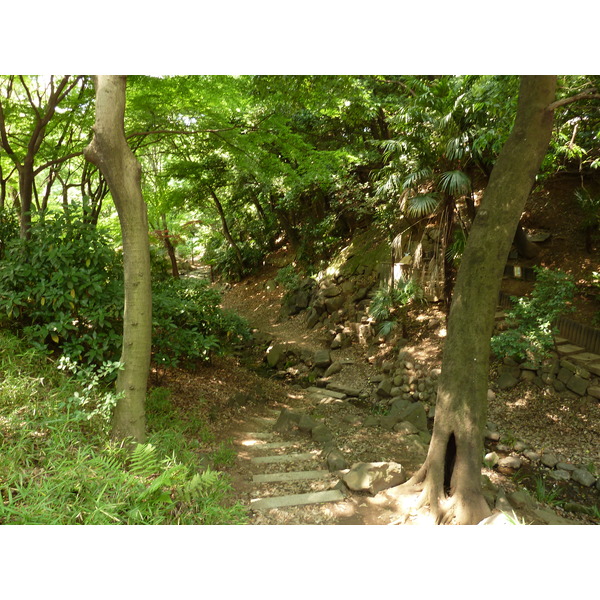 照片 日本(Japan) 东京(Tokyo) 芝公园(Shiba Park) 2010-06 2