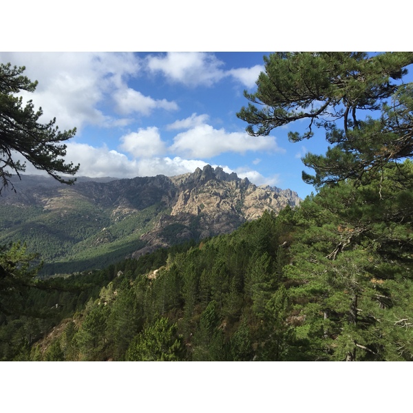 照片 法国(France) 科西嘉岛(Corsica) 奥斯佩达莱森林(L'ospedale Forest) 2017-09 5