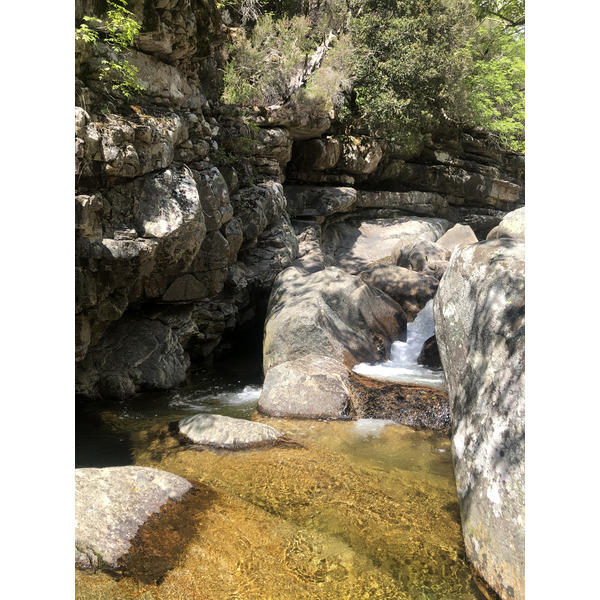 照片 法国(France) 科西嘉岛(Corsica) 艾托内森林(Aitone Forest) 2021-06 5