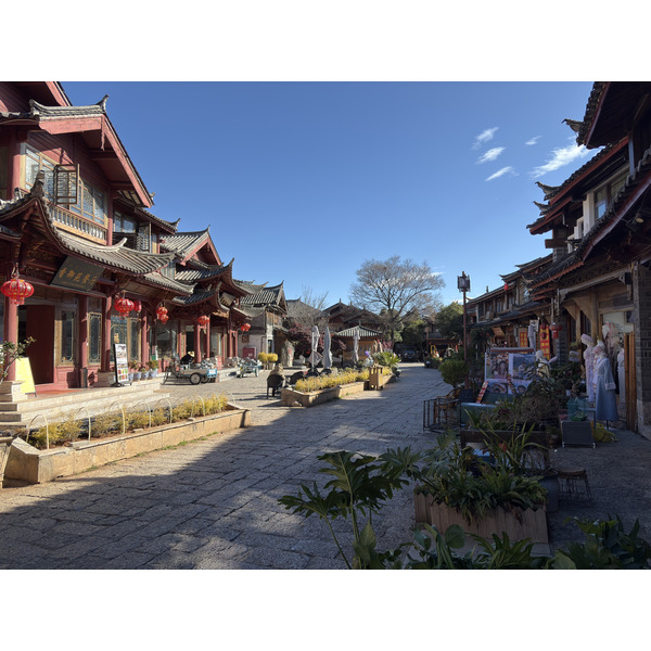 照片 中国(China) 丽江(Lijiang) 2026-01 309