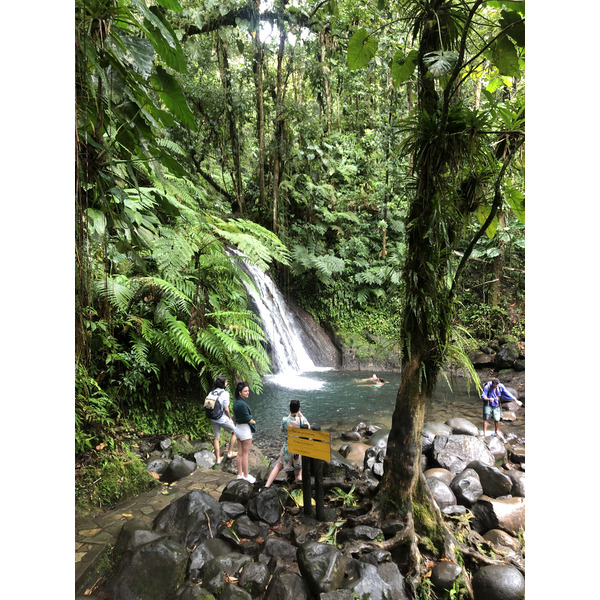照片 瓜德罗普(Guadeloupe) 螯虾瀑布(Cascade aux ecrevisses) 2021-02 18