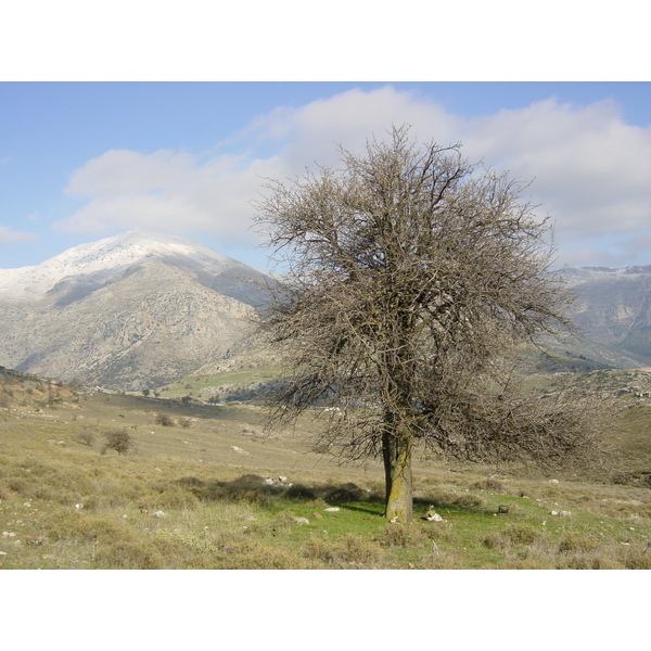 照片 希腊(Greece) 纳夫普利翁(Nafplio) 2003-12 5