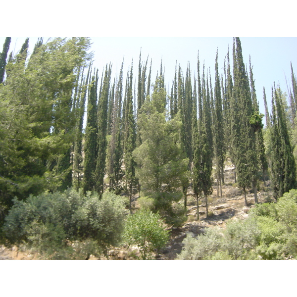 照片 以色列(Israel) 公路(Road) 2001-07 16