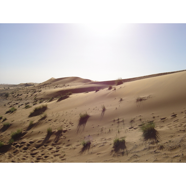 照片 阿联酋(United Arab Emirates) 迪拜至艾因公路(Dubai to Al Ain road) 2005-03 18