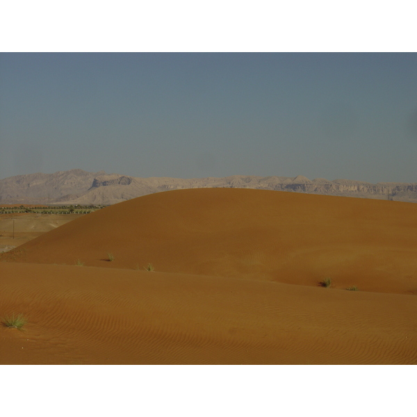 照片 阿联酋(United Arab Emirates) 迪拜至艾因公路(Dubai to Al Ain road) 2005-03 39