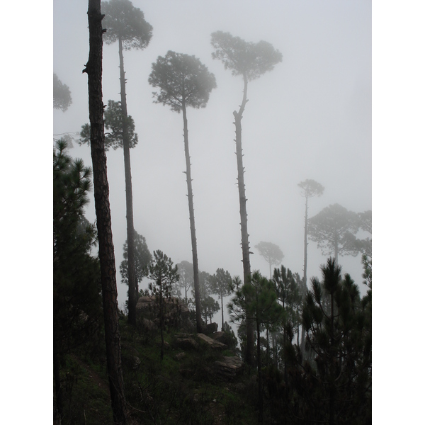 照片 巴基斯坦(Pakistan) 穆里(Murree) 2006-08 156
