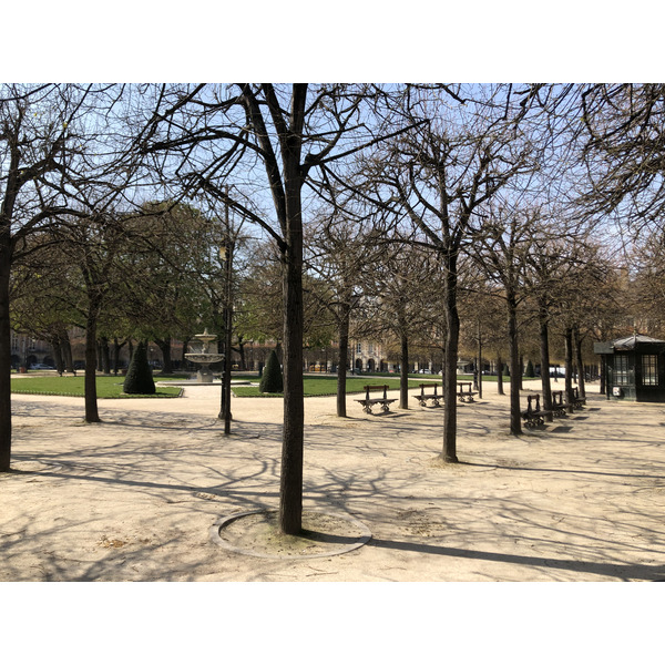 照片 法国(France) 封城中的巴黎(Paris lockdown) 2020-03 142