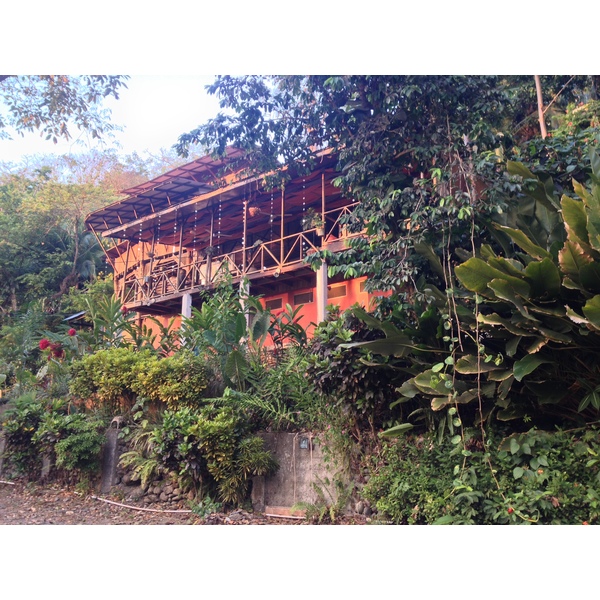 照片 哥斯达黎加(Costa Rica) 曼努埃尔安东尼奥(Manuel Antonio) 2015-03 444